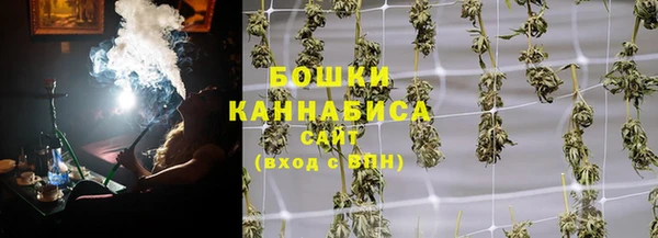 крисы Костерёво