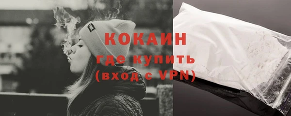 прущие грибы Корсаков