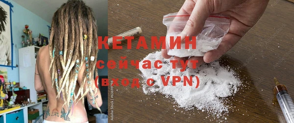 прущие грибы Корсаков