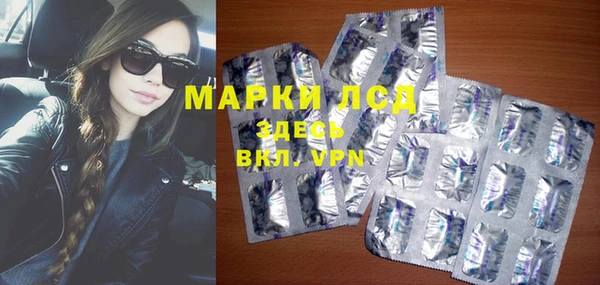 прущие грибы Корсаков