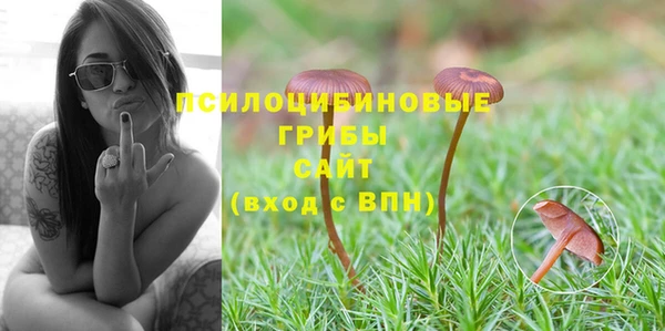 крисы Костерёво