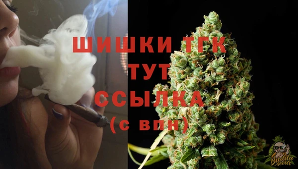 прущие грибы Корсаков