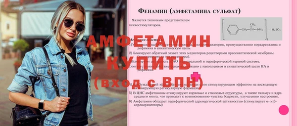 прущие грибы Корсаков