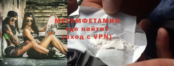 прущие грибы Корсаков